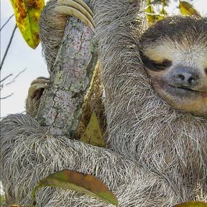 Meet your Posher, Zane